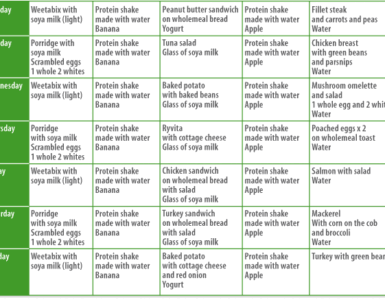 An Updated Overview On Quick Tactics Of Diet Plans