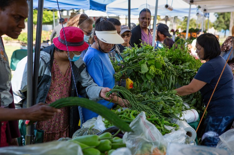 A customer picks produce at the farmers' market in Fairfield on June 15, 2023. Photo by Semantha Norris, CalMatters