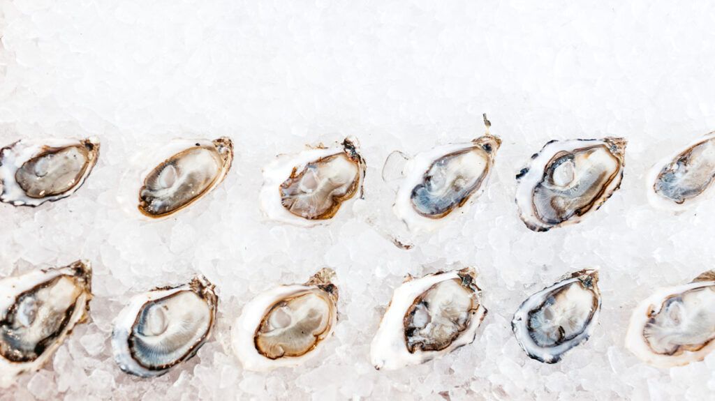 oysters on ice