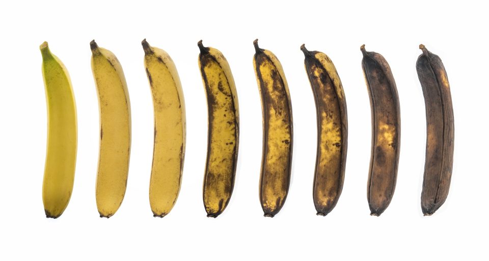 Aging Process Of Banana On White Background
