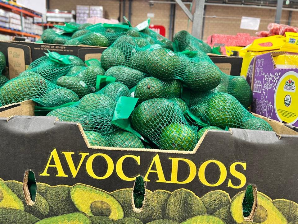 Avodacos in mesh bags on display at Costco