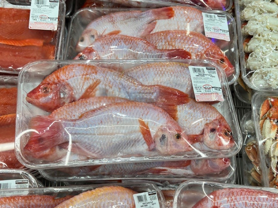 fresh tilapia in plastic-covered package at Costco